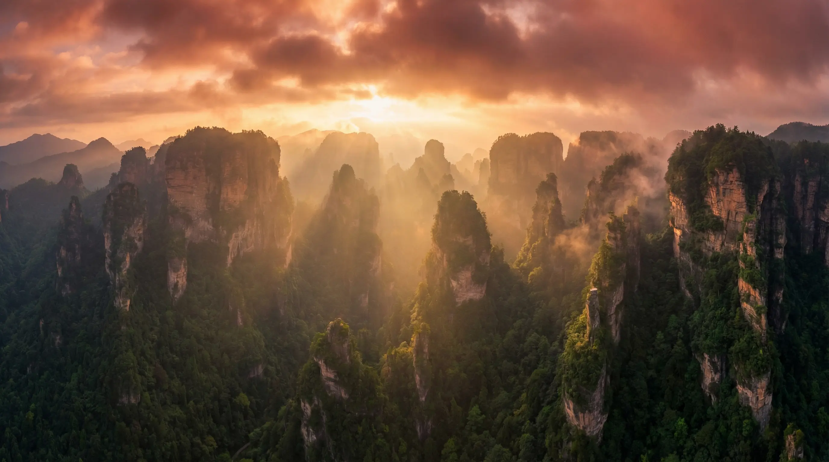 我的遗憾和你有关电影什么时候上映 自然风光视频封面